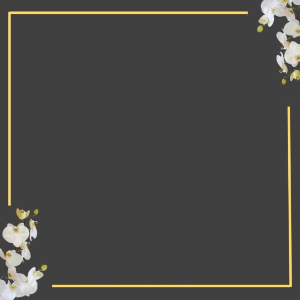 Floral Πλαίσιο Animation Αντίγραφο Χώρου Κείμενο Placeholder Βοτανικό Φύλλωμα Λουλουδιών — Αρχείο Βίντεο