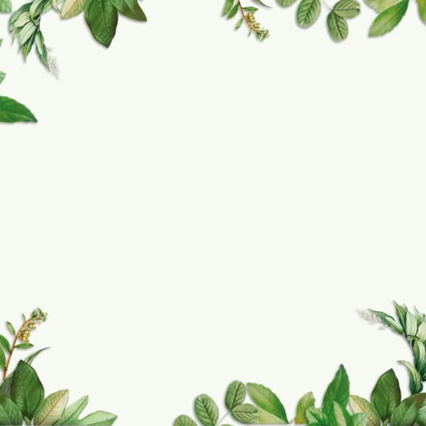Virágos Trópusi Keret Animáció Szöveges Helytartóval Virágzó Botanikai Levelek Lombozat — Stock videók