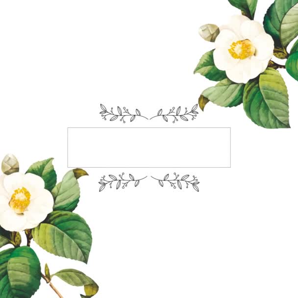 Bloemen Frame Animatie Van Bruiloft Uitnodiging Botanische Bloemblaadjes Tekst Plaatshouder — Stockvideo