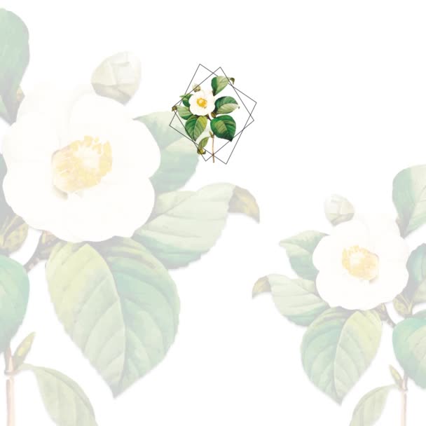 Floral Backdrop Animation Wedding Invitation Botanical Flower Foliage Text Placeholder — Stock Video