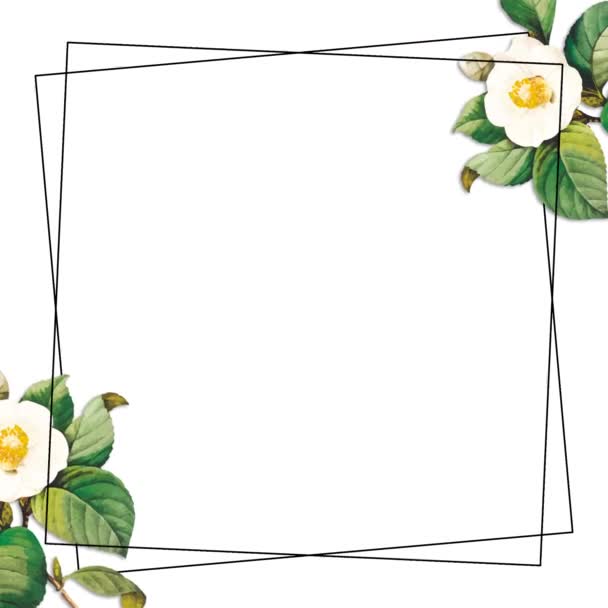 Animace Květinového Rámečku Svatební Pozvánky Botanické Listy Květin Zástupný Znak — Stock video