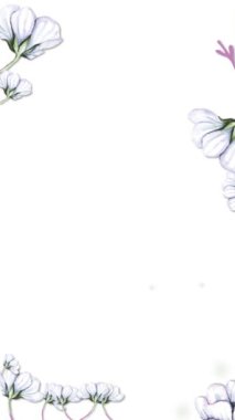 Çiçek çerçeveli animasyon şablonunun dikey videosu. Botanik çiçek yaprakları. Çevrimiçi selamlaşma ya da sosyal medyada düğün davetiyeleri için uygundur. Ve203