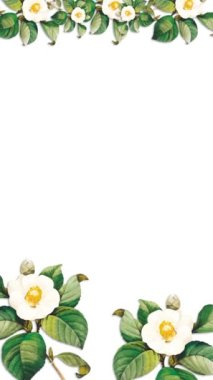 Çiçek çerçeveli animasyon şablonunun dikey videosu. Botanik çiçek yaprakları. Çevrimiçi selamlaşma ya da sosyal medyada düğün davetiyeleri için uygundur. Ve215