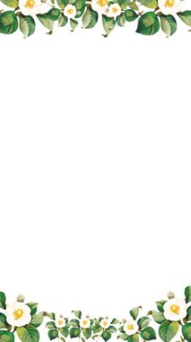 Çiçek çerçeveli animasyon şablonunun dikey videosu. Botanik çiçek yaprakları. Çevrimiçi selamlaşma ya da sosyal medyada düğün davetiyeleri için uygundur. Ve212