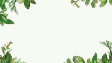 Yeşil yapraklar ve çimen çerçeve