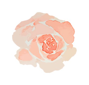 Siyah zemin üzerinde açık turuncu bir gül çiçeğinin suluboya çizimi