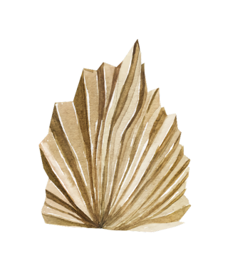 Kurumuş bir palmiye yaprağının suluboya çizimi, boho tasarım projeleri için mükemmel.