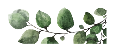 Suluboya okaliptüs yaprakları, zarif yeşillik yaprakları, koyu arkaplan sanatı.