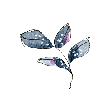 Mavi yapraklı, beyaz benekli, siyah arka planlı bir filizin suluboya çizimi.