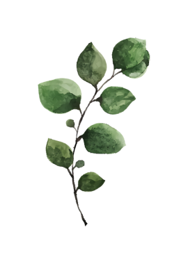 Birden fazla yaprağı ve koyu bir sapı olan yeşil bir bitki dalının suluboya çizimi.