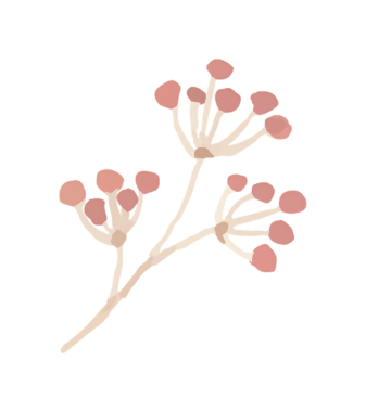 Koyu arkaplanda pembe-ten meyvesi kümeleri olan bir sapın sanatsal botanik çizimi.