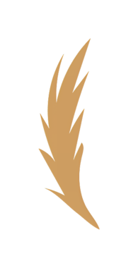 Siyah arkaplan üzerindeki kahverengi tüy çizimi, çeşitli tasarım uygulamaları için mükemmel..