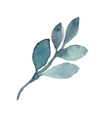 Narin ve zarif görünümlü yaprakların suluboya çizimi