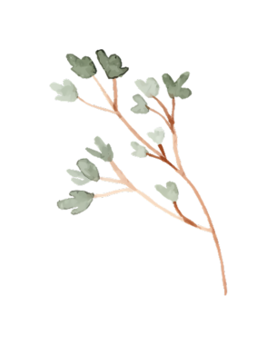 Siyah arka planda yeşil yaprakları olan narin bir dalın suluboya çizimi