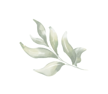 Bir daldaki yeşil yaprakların suluboya çizimi, tasarım elementleri için mükemmel.