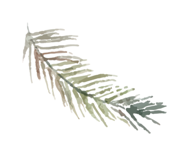 Narin eğreltiotu dalının suluboya resmi, doğanın narin güzelliğini yakalıyor..