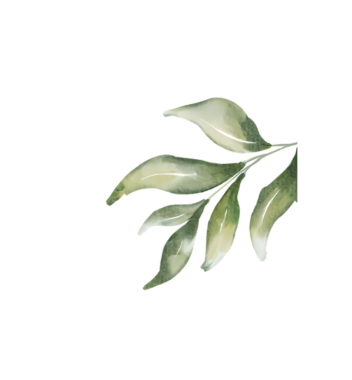 Bir daldaki yeşil yaprakların zarif suluboya çizimi, tasarım elementleri için mükemmel..