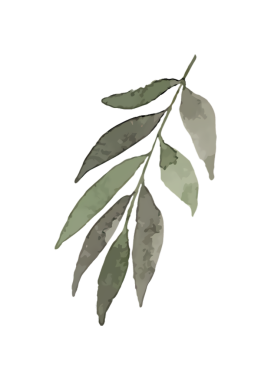 Siyah arka planda yemyeşil yaprakları olan narin bir dalı içeren zarif suluboya çizimi.