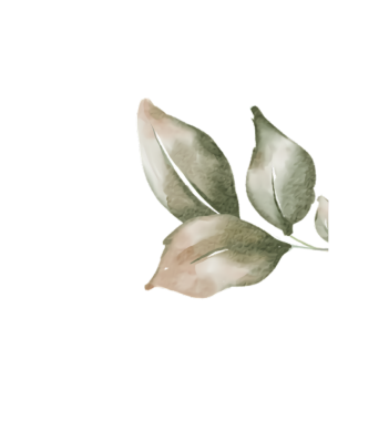 Siyah zemin üzerinde yeşil ve kahverengi tonlarında narin yaprakların suluboya resmi.