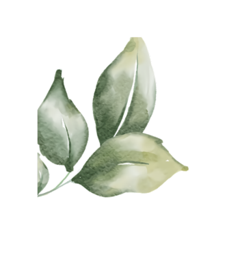 Narin yeşil yaprakların suluboya çizimi, sanatsal botanik tasarım, zarif çiçek elementleri.