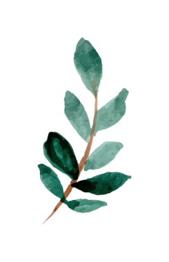 Siyah arka planda yeşil yaprak dalının suluboya çizimi, botanik sanatı