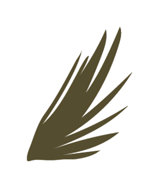 Keskin, desenli tüy benzeri elementlerin yer aldığı bir kanadın stilize edilmiş çizimi.