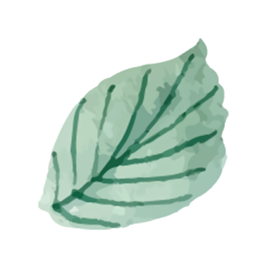 Ayrıntılı damarları olan tek bir yeşil yaprağın suluboya çizimi, doğa tasarımı