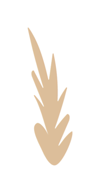 Soyut bej yaprak çizimi koyu arkaplan, minimalist doğa tasarımı.