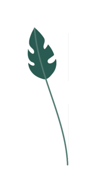 Siyah arka planda uzun ve eğimli bir kökü olan tropikal bir yaprağın stilize edilmiş botanik çizimi