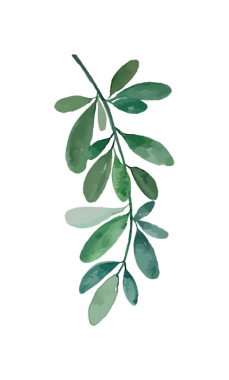 Siyah arka planda yemyeşil yaprakları olan botanik bir dalın sanatsal suluboya tasviri