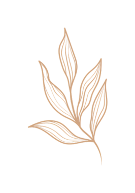 Zarif İllüstrasyon: Katı Siyah Tasarım Arkaplanına Karşı Bej Yaprak