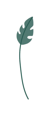 Ayrıntılı Damarları ve Eğri Kökü olan Tropikal Yaprağın Biçimlendirilmiş İllüstrasyonu