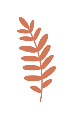 Tek bir portakal yaprağının soyut çizimi, minimal modern tasarım, siyah arkaplan.