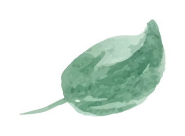 Yeşil yaprağın suluboya çizimi, doğanın narin güzelliğini ve organik şekillerini gözler önüne seriyor..