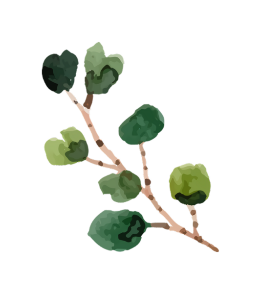 Yeşil yapraklı bir bitki dalının suluboya tasviri, sanatsal çizim, siyah arkaplan