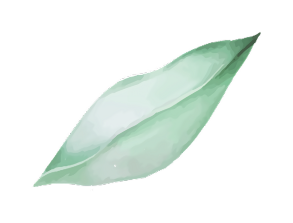 Artistik botanik element üzerinde tek bir yeşil yaprağın suluboya çizimi.