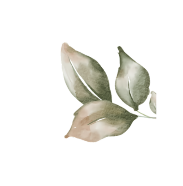 Birkaç yeşil yaprağın suluboya çizimi siyah arkaplana karşı yumuşak renk eğimleriyle.