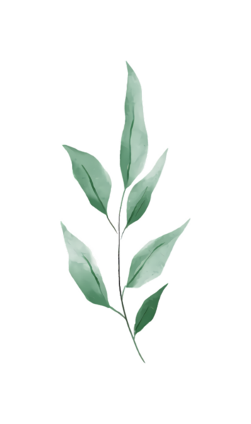 Bir sapta yeşil yaprakların suluboya resmi, botanik çizim, yaprak sanatı.
