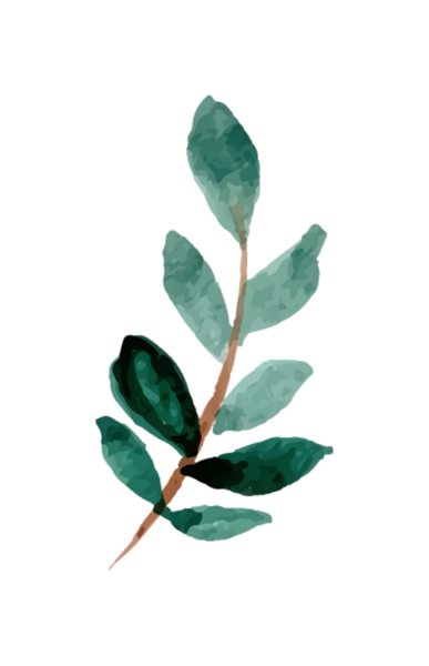 Siyah arka planda yeşil yaprak dalının suluboya çizimi, botanik sanatı