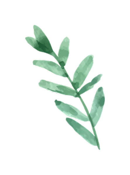 Siyah arka planda yaprakları olan yeşil bir bitki dalının suluboya çizimi.