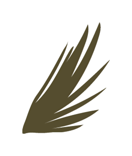 Keskin, desenli tüy benzeri elementlerin yer aldığı bir kanadın stilize edilmiş çizimi.