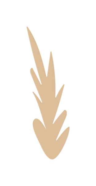 Soyut bej yaprak çizimi koyu arkaplan, minimalist doğa tasarımı.