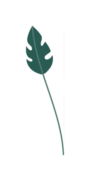 Siyah arka planda uzun ve eğimli bir kökü olan tropikal bir yaprağın stilize edilmiş botanik çizimi