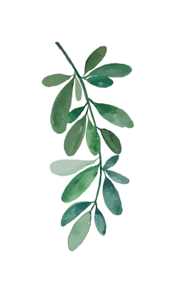 Siyah arka planda yemyeşil yaprakları olan botanik bir dalın sanatsal suluboya tasviri