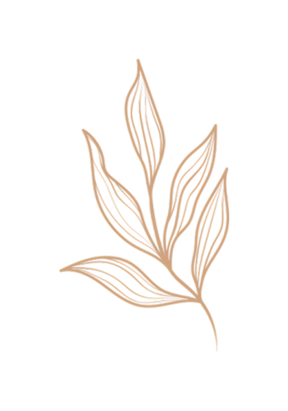 Zarif İllüstrasyon: Katı Siyah Tasarım Arkaplanına Karşı Bej Yaprak