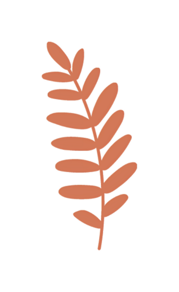 Tek bir portakal yaprağının soyut çizimi, minimal modern tasarım, siyah arkaplan.