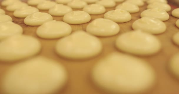 Красиві Парні Ряди Стисненого Крему Приготування Духовці Випічка Приготування Їжі — стокове відео