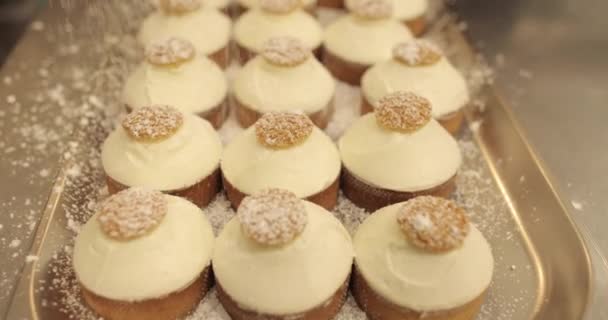 설탕으로 뿌려진 준비된 케이크는 페이스트리 가게에서 트레이에도 있습니다 — 비디오