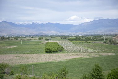Mavi bulutlu gökyüzünün altında tarlaları ve dağları olan güzel bir manzara.