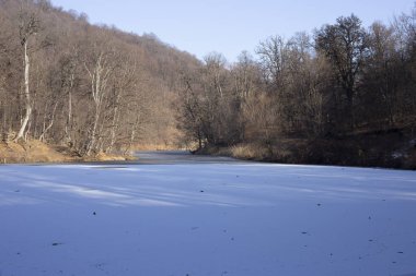  Manzara Kış Gölü. Ormanın yakınında.